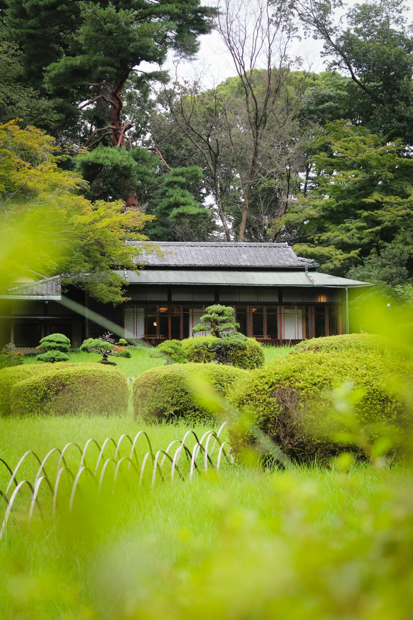 住まいと庭の穏やかな風景