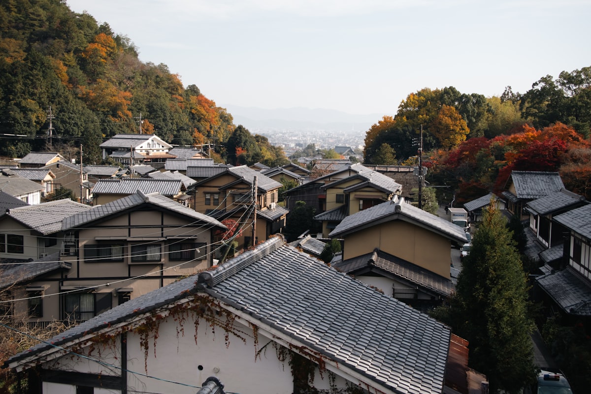 画像01